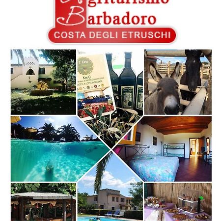 Agriturismo Barbadoro San Vincenzo Exteriér fotografie