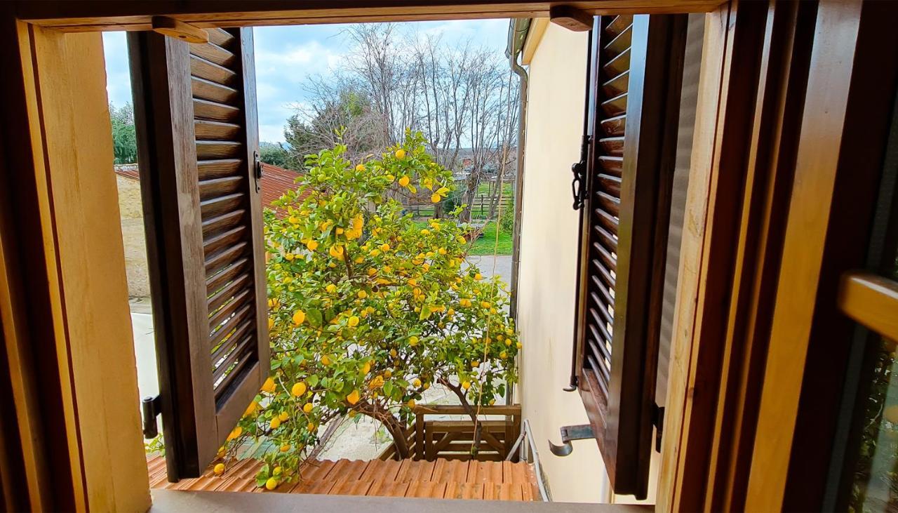 Agriturismo Barbadoro San Vincenzo Exteriér fotografie