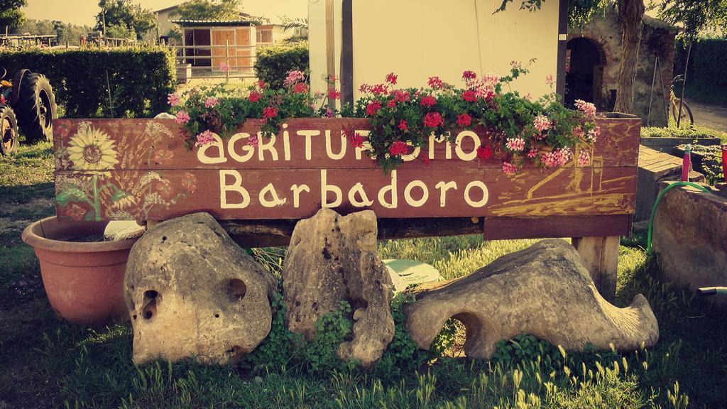 Agriturismo Barbadoro San Vincenzo Pokoj fotografie